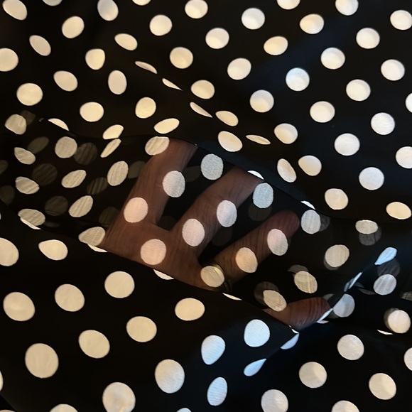 Short-sleeve polka dot navy blouse with sheer strip in middle. - Picture 3 of 3